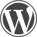 Wordpress Website Developer in Charlotte